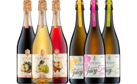 Van Nahmen Probierpaket Sparkling alkoholfrei