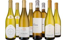 2025 Probierpaket Fabelhafte Sauvignon Blancs