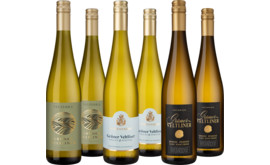 Probierpaket Grüner Veltliner