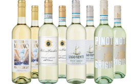 Probierpaket Frischer Pinot Grigio