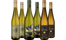 Entdeckerpaket Grüner Veltliner