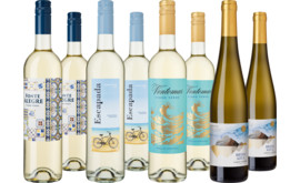Entdeckerpaket Portugals Vinho Verde