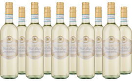 2025 Vorteilspaket Leon dOro Pinot Grigio