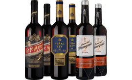 Probierpaket intensive Rotweine aus der Rioja