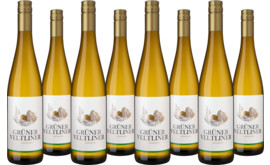2025 Vorteilspaket Steinpfefferl Grüner Veltliner