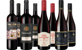Probierpaket goldprämierte Rotweine