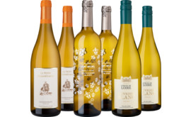 Entdeckerpaket Französischer Sauvignon Blanc