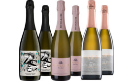 Entdeckerpaket Sekt Austria