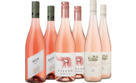 Entdeckerpaket Österreichische Rosé-Auswahl
