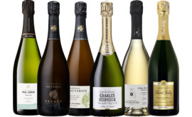 Blanc de Blancs Champagner Paket