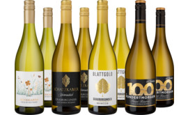Entdeckerpaket Grauburgunder-Highlights