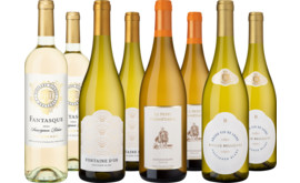 Probierpaket Französische Sauvignon Blanc-Auswahl