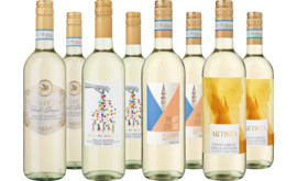 Probierpaket Frischer Pinot Grigio