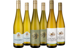 Probierpaket Grüner Veltliner