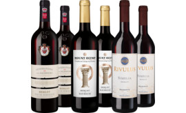 Probierpaket Merlot aus aller Welt
