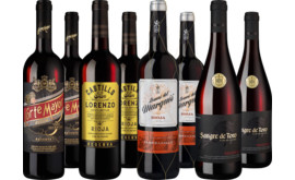 Entdeckerpaket Spanische Rotwein-Highlights