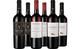 Entdeckerpaket Rotwein-Auswahl aus Chile