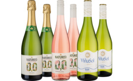 Probierpaket Alkoholfreie Wein-Vielfalt