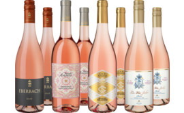 Entdeckerpaket Sommer in Rosé