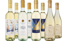 Probierpaket Pinot Grigio
