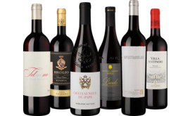 Mixpaket Rotwein Finest