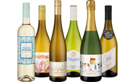 Probierpaket Alkoholfreies Vergnügen
