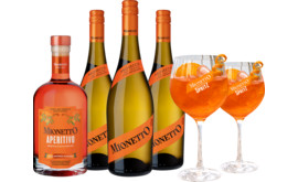 Aperitivopaket Mionetto Prosecco Frizz. Prestige