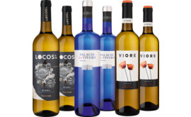 Probierpaket Verdejo aus der Rueda