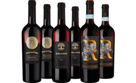 Probierpaket Herbstliche Primitivo-Auswahl