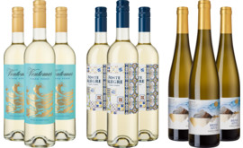 Entdeckerpaket Goldprämierte Vinho Verde