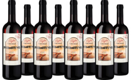 2024 Vorteilspaket Viada Voglia Primitivo