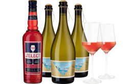 Aperitivopaket Lago Venti Garda Frizzant