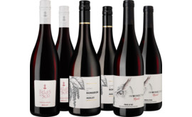 Entdeckerpaket Merlot aus dem Pays d'Oc IGP
