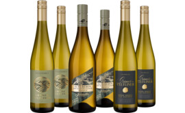 Probierpaket Grüner Veltliner