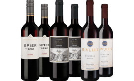 Probierpaket Rotweine aus Südafrika