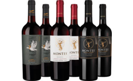 Probierpaket Rotwein-Highlights aus Chile