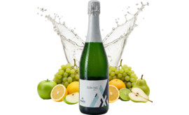 Weingut Marx Saarlandsekt Elbling