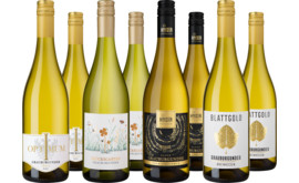 Entdeckerpaket Grauburgunder-Highlights