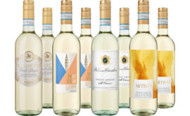 Entdeckerpaket Pinot Grigio Auswahl