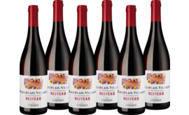 2026 Terres Fleuries Beaujolais Nouveau