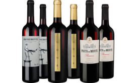Probierpaket Rotwein-Vielfalt aus Portugal