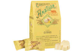 Praline mit Zitrusfrucht Flors Citrus