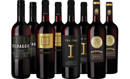 Weinpaket "Best of Primitivo"