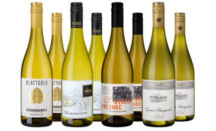 Weinpaket "Best of Grauburgunder"