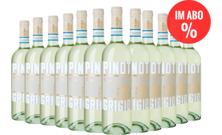 2025 Spar-Abo Cinolo Pinot Grigio