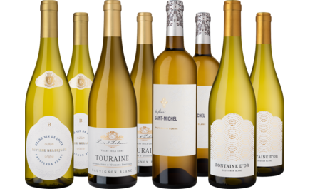 2025 Probierpaket Fabelhafte Sauvignon Blancs