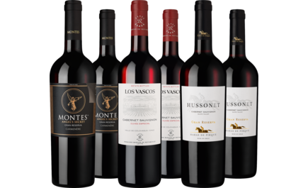 Probierpaket Chiles Rotwein-Highlights