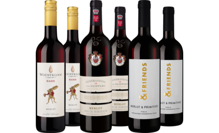 Entdeckerpaket Merlot-Vielfalt