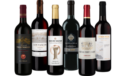 Rotwein-Sommerpaket 2026