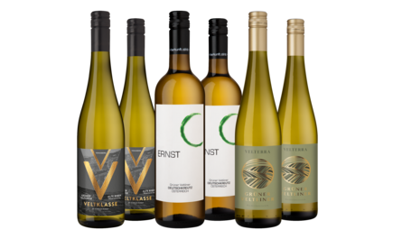 Probierpaket Grüner Veltliner-Vielfalt